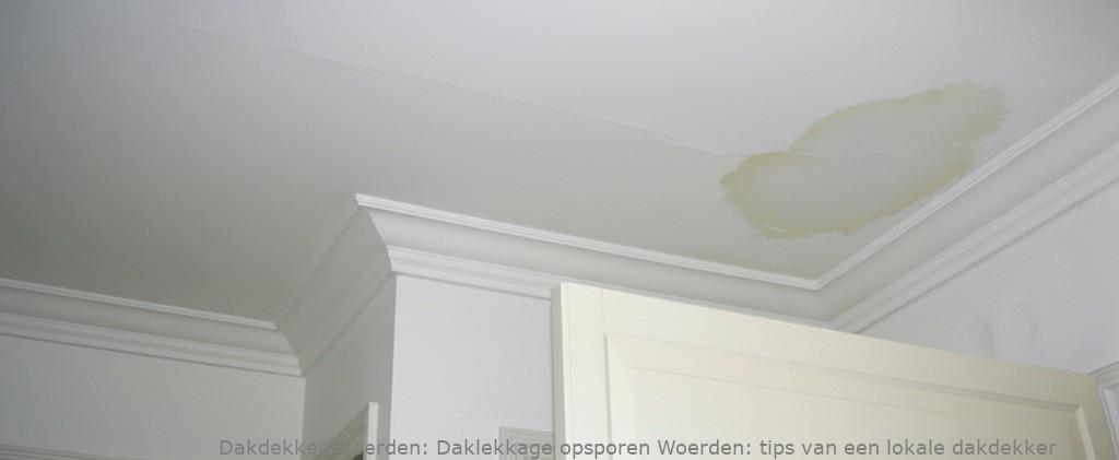 Daklekkage Opsporen Woerden 1