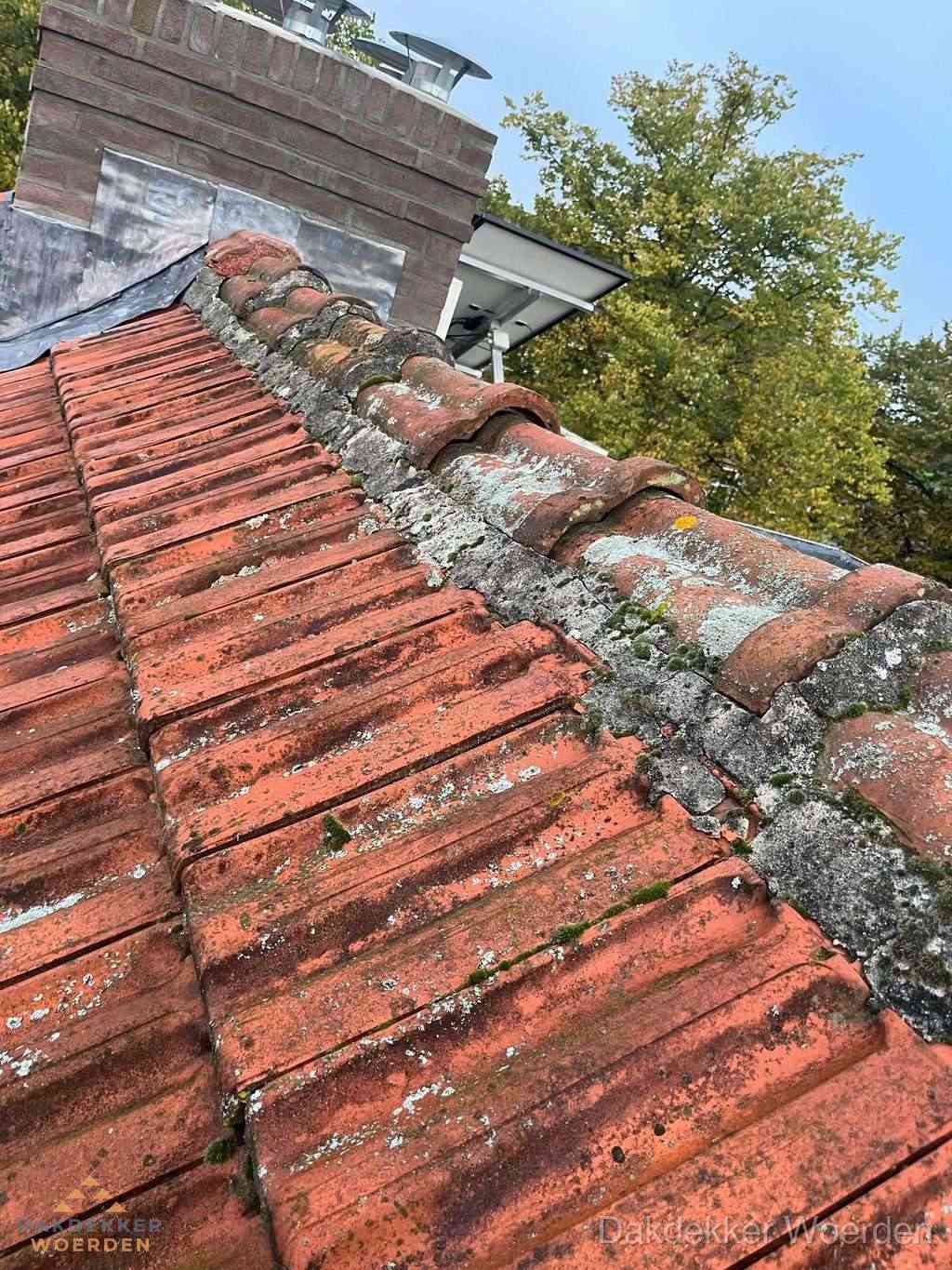 Renovatie Hellend Dak Woerden