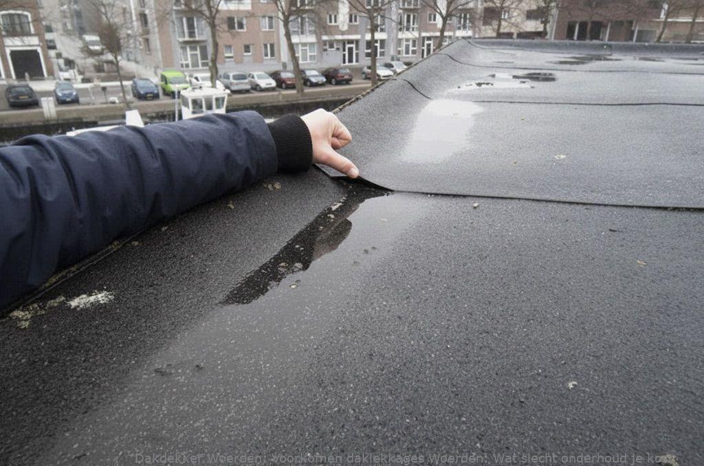 Voorkomen Daklekkages Woerden