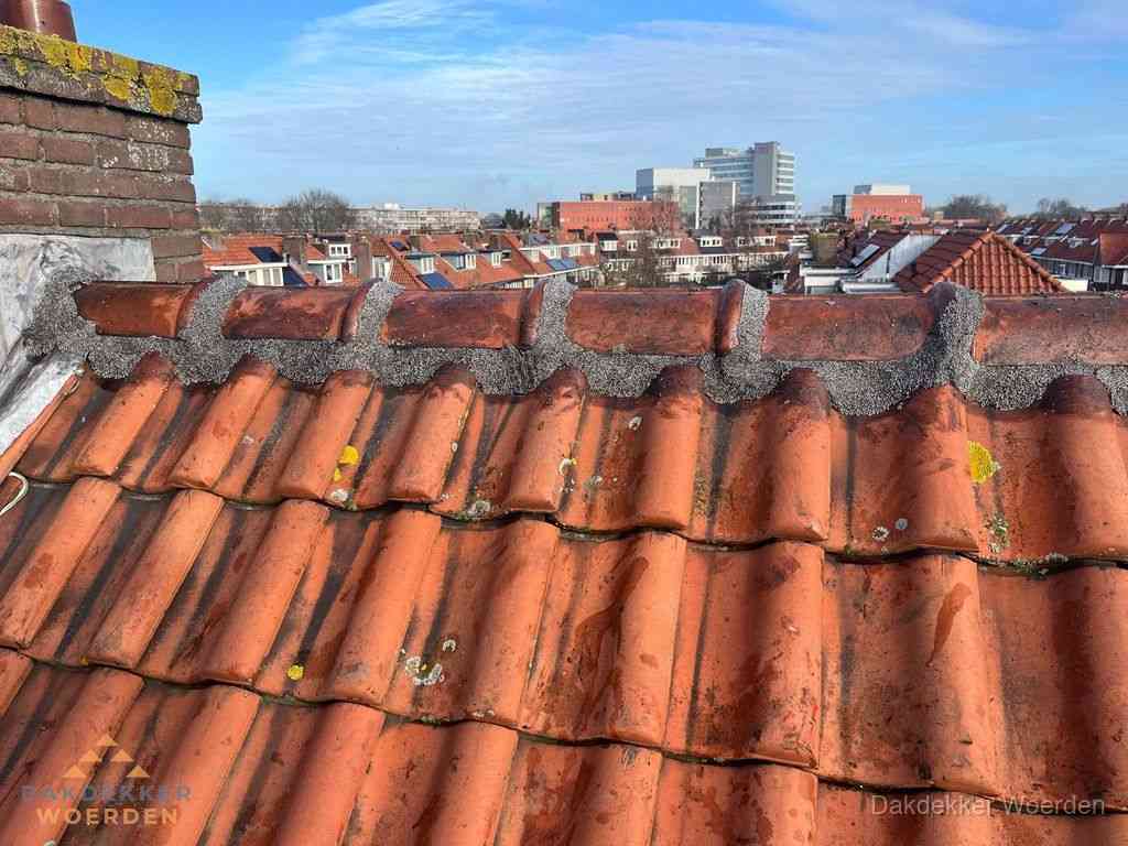 Woerden Daken Renoveren